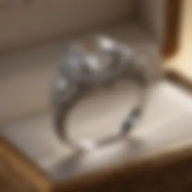 Elegant Setting for a One Carat Ring A beautiful setting for a one carat diamond ring in an elegant box