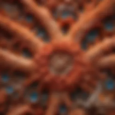 Intricate Patterns of Gemstone Coral Close-up of vibrant gemstone coral showcasing intricate patterns