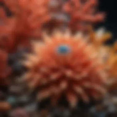 Cultural Significance of Coral Artifacts Artistic representation of coral in various cultural artifacts
