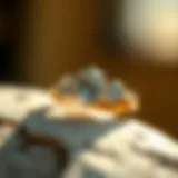 Exploring the Allure of Best Three Stone Engagement Rings Introduction
