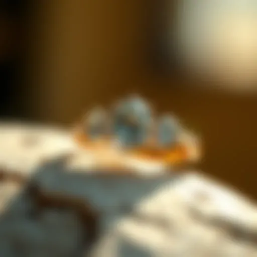 Exploring the Allure of Best Three Stone Engagement Rings Introduction
