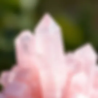 Polished Rose Quartz Crystals in Natural Light Close-up view of polished rose quartz crystals showcasing their delicate pink hue.
