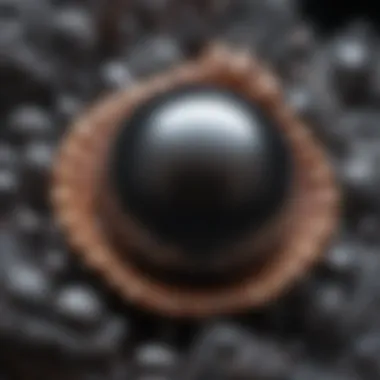 Close-up of a black pearl in its natural shell