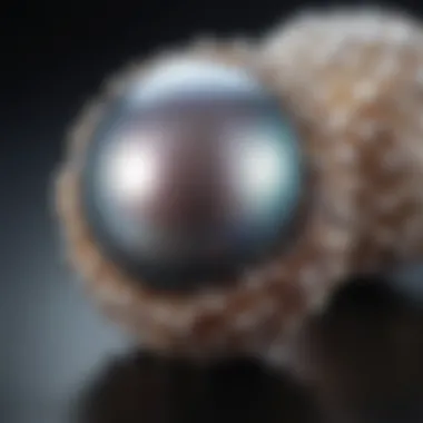 The iridescent luster of a variety of freshwater pearls showcased against a dark background.