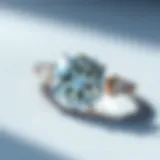 Lab-Created Diamonds versus Natural Diamonds: A Comparative Analysis of Cost Introduction