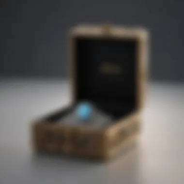 Jewelry Storage for Opals An elegant jewelry box specifically designed for opal storage, emphasizing protection