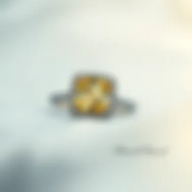 Exquisite Diamond Setting Elegant diamond ring setting