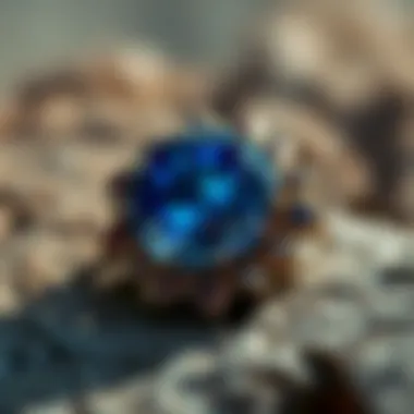 The Sapphire in the Rough: Understanding its Beauty and Value Summary The Sapphire in the Rough: Understanding its Beauty and Value Summary