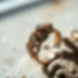 Elegant 15th anniversary ring showcasing intricate design