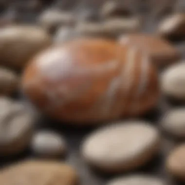 Natural setting highlighting the geological context of brown stones with white lines.