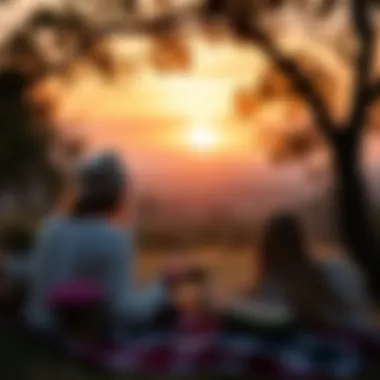 A couple enjoying a sunset picnic to celebrate their love