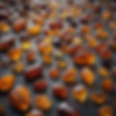 Diverse Collection of Baltic Amber Variants Collection of Baltic amber pieces showcasing various colors