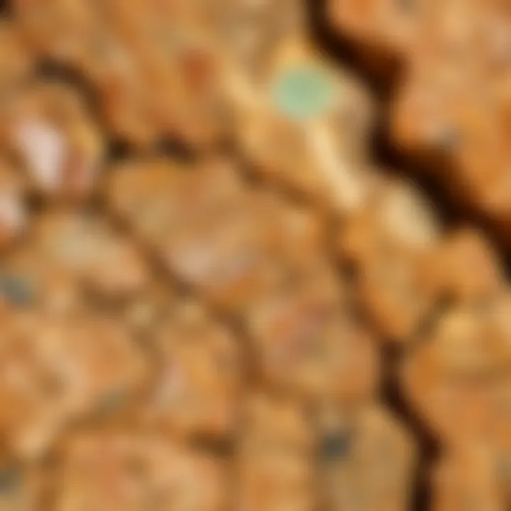 Polished Quartzite Texture and Colors A close-up of polished quartzite showcasing its unique texture and colors