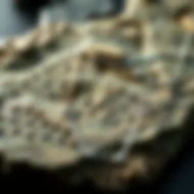 Market Trends in Quartzite Pricing A chart illustrating market trends and fluctuations in quartzite pricing over the years