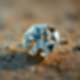 Analysis of diamond grading criteria