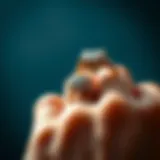 Cultural symbols associated with wedding rings